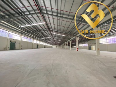 X255.cho thuê kho xưởng mới tinh mặt đường chân cầu vàng an lão 11.000m2 pccc tự động trạm biến áp 0