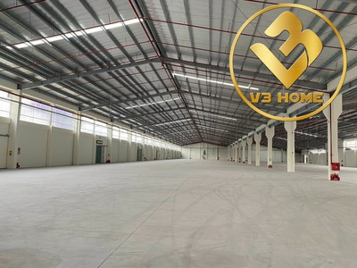 X255.cho thuê kho xưởng mới tinh mặt đường chân cầu vàng an lão 11.000m2 pccc tự động trạm biến áp 4