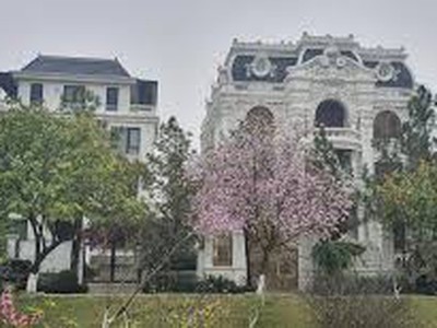 Bán đất nền biệt thự song lập 200m2 The Phoenix Garden, huyện Đan Phượng, thành phố Hà Nội 0