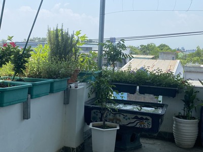 - bán nhà 4 tầng đường hà mục - cẩm lệ - đà nẵng. 1
