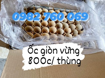 Bán vỏ kem ốc các loại: giòn, giòn xốp và dẻo xốp, gửi đi các tỉnh 2