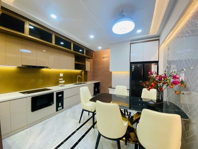 Bán Siêu Phẩm Nhà Phố Thang máy Phường 12, Quận Gò vấp, Hồ chí Minh 9