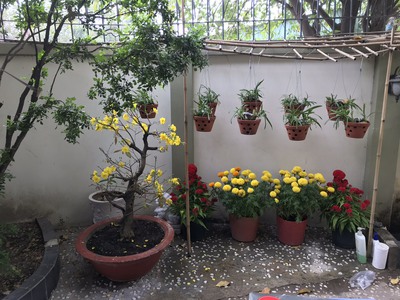 Mình chính chủ cần bán biệt thự 2 mặt tiền đường 10m tại Đường Thới Tam Thôn 18, Xã Thới Tam Thôn, H 1