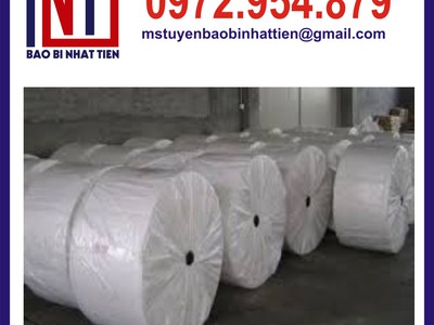 Sản xuất manh PP dệt dạng cuộn, manh PP dệt giá rẻ 3