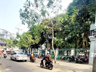 Bán nhà chdv, trần văn hoàng tân bình, 5 tầng, 92m2, 4x23, 15 chdv full 35 tr/th, chỉ 11.8 tỷ 0