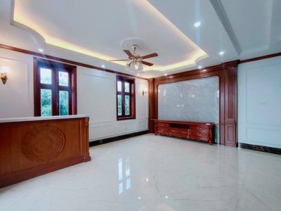 Biệt thự 4 mặt thoáng, phố bùi thiện ngộ, đỉnh cao lô góc, mặt tiền khủng. 3