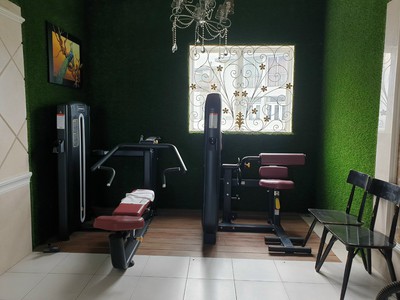 Bán - cho thuê penthouse khu dân cư phú mỹ - vạn phát hưng. 1