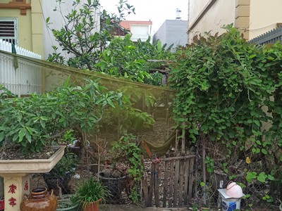 Bán đất ngõ 149 trung hành -hải an , diện tích 60m, giá 1.67 tỉ 0