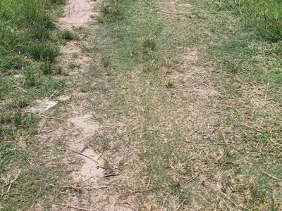 Chính chủ bán đất vườn - 325m2, gần khu dân cư, trường học, chợ, trụ sở ubnd xã chỉ 550 triệu. 3