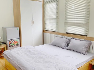 Cho thuê căn hộ 1 ngủ cực đẹp Vinhomes Imperia giá rẻ 2