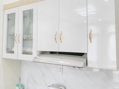 Cho thuê căn hộ 1 ngủ cực đẹp Vinhomes Imperia giá rẻ 4
