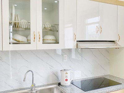 Cho thuê căn hộ 1 ngủ cực đẹp Vinhomes Imperia giá rẻ 7