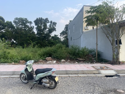 Bán lô mặt đường 362 Minh Tân, Kiến Thụy, Hải Phòng 2