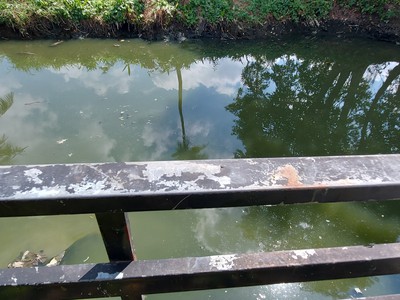 Cần cho thuê nhà nguyên căn mặt tiền sông sài gòn 2