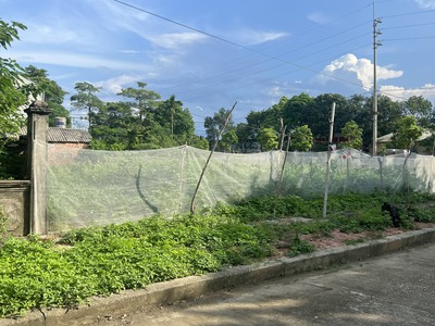 Bán đất đẹp 100m2 tại khu tái định cư linh sơn hòa lạc 0