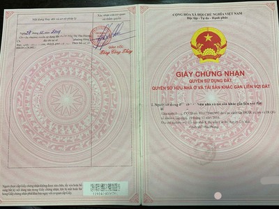 Bán Đất THỔ CƯ FULL sổ đỏ, Đường Cái Bèo, Trung Tâm Thị Trấn Cát Bà, Vị Trí Đắc Địa Duy Nhất 300m2 1