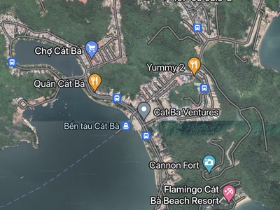 Bán Đất THỔ CƯ FULL sổ đỏ, Đường Cái Bèo, Trung Tâm Thị Trấn Cát Bà, Vị Trí Đắc Địa Duy Nhất 300m2 2
