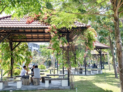 Nhà phố xây sẵn TT Bến Lức - Thanh toán chỉ 740 triệu nhận nhà ngay - Sổ hồng riêng 5