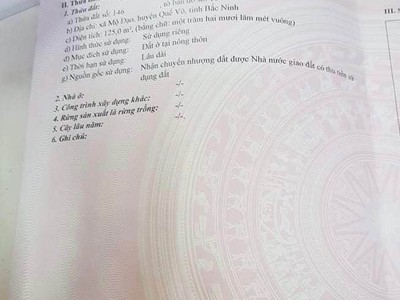 Chính chủ cần bán lô đất tại xã mộ đạo - huyện quế võ - tỉnh bắc ninh. 1