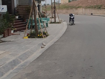Chính chủ bán mảnh đất tại số 62 đường  đê giang biên, phường giang biên, long biên, hà nội 1