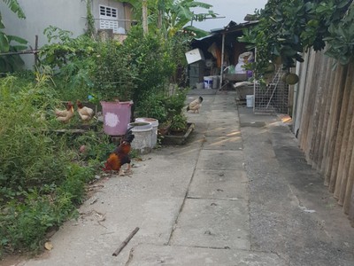 Bán gấp đất đại áng trung tâm quận thanh trì, ngõ thông thoáng an sinh tốt 48m2 1.59 tỷ 0