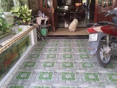 Tôi cần bán nhà 3 kiệt k97 mẹ nhu - thanh khê - đà nẵng 2