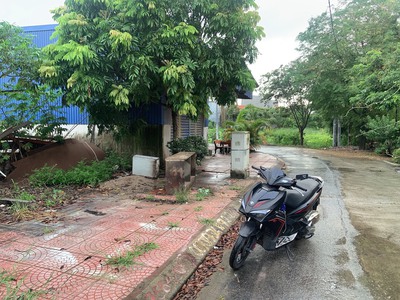 Bán đất đấu giá Đẩu Sơn 1, Văn Đẩu, KIến An 1