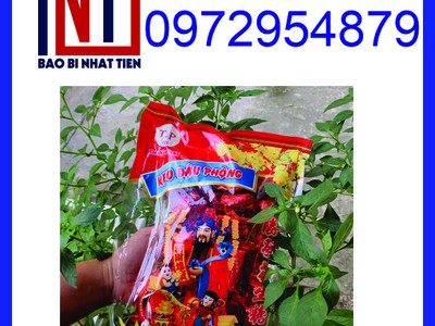Chuyên in túi đựng kẹo, sản xuất bao bì bánh kẹo giá rẻ 7