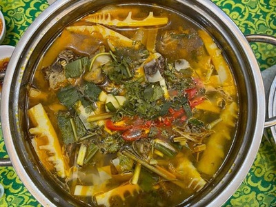 Bán nhím thịt nhà nuôi tại Đồng Nai 6