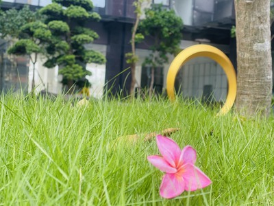 Shophouse chân đế Bình Minh garden giá cực hời 2