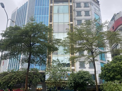 Siêu phẩm mặt phố ,  phố vip cầu giấy, lô góc 3 thoáng , pháp lý đẹp 3500m2 x mt 75m x hơn 900 tỷ. 4