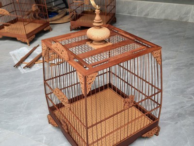 Lồng chim chào mào 2