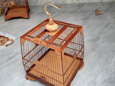 Lồng chim chào mào 3