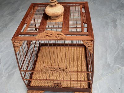 Lồng chim chào mào 1