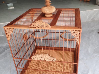 Lồng chim chào mào 0