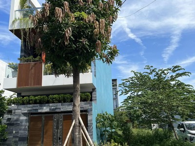 Bán đất đường Vũ Đình Liên , đường thông Sát Võ Chí Công , Hoà Xuân cẩm lệ 3