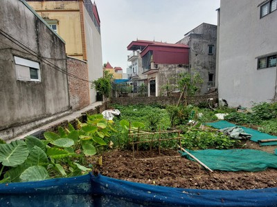 58m2 mt4m 3 tỷ đất ngọc hồi, ngõ nông, thông an sinh tốt, cần tiền bán gấp. 0