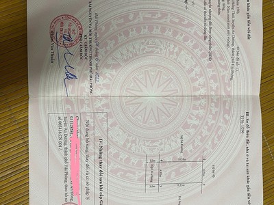 Chính chủ cần bán lô đất tại tại đào yêu - hồng thái - an dương - hải phòng . 0