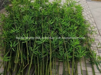 Địa chỉ bán cây trúc, cây tre giả tại Hà Nội, giá rẻ, uy tín. 9