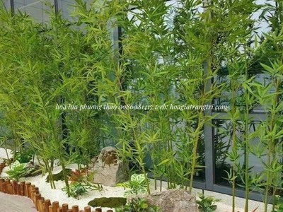 Địa chỉ bán cây trúc, cây tre giả tại Hà Nội, giá rẻ, uy tín. 1
