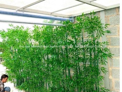 Địa chỉ bán cây trúc, cây tre giả tại Hà Nội, giá rẻ, uy tín. 7
