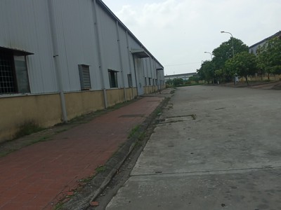 Cho thuê kho, xưởng tại KCN Đại Đồng. HOÀN SƠN. BẮC NINH 0