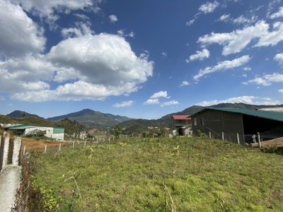 Bán mảnh đất 500m2 , view ruộng bậc thang ở Giàng Tra, Tả Phìn, Sapa 3