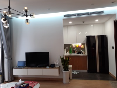 Cho thuê căn hộ 2 phòng , Full nội thất cao cấp tại chung cư 6th Eleme 1