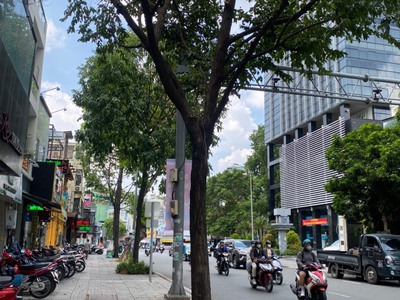 Siêu phẩm mt võ thị sáu, p.tân định, quận 1. 0