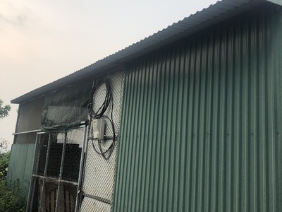 Cho thuê  đất nông nghiêp  50 năm tại huyện thanh trì, hà nội 3