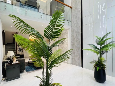 Bán Nhà Phố Đẹp Đường 1 Trục 5m Quang Trung, Quận Gò Vấp , Hồ Chí Minh 1