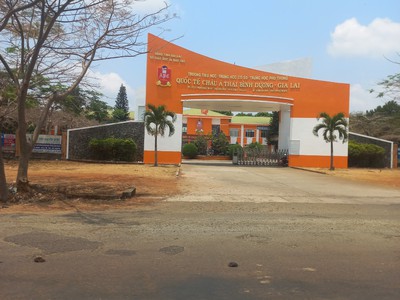 Tôi cần bán nhà biệt thự 2 mặt tiền đường trần nhật duật, pleiku, gia lai 2