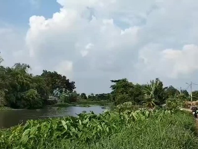 Bán đất thới an - view sông vàm thuật - gầnubnd quận 12,  lê thị riêng 0
