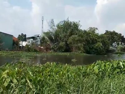 Bán đất thới an - view sông vàm thuật - gầnubnd quận 12,  lê thị riêng 1